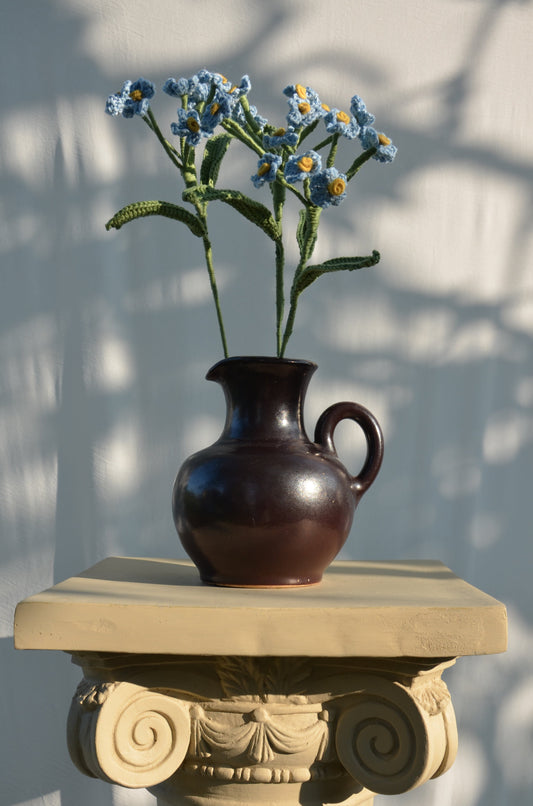 Myosotis
